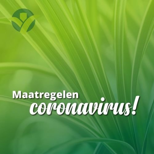 De huidige Corona maatregelen