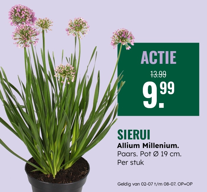 Weekaanbieding: Sierui